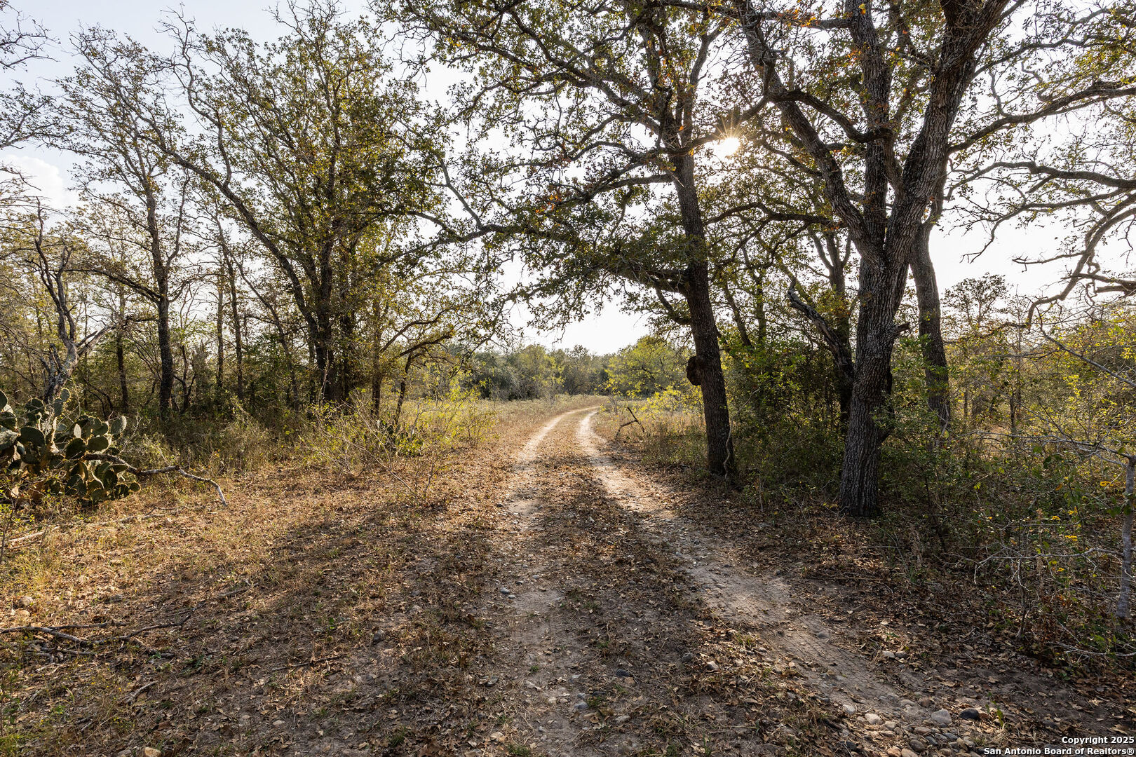 main property photo 10