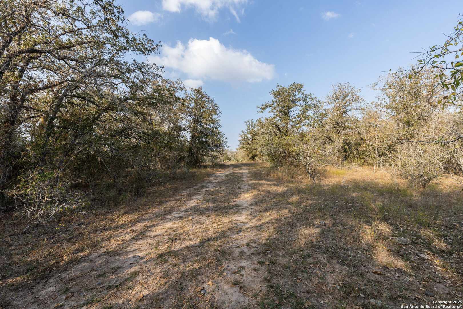 main property photo 11