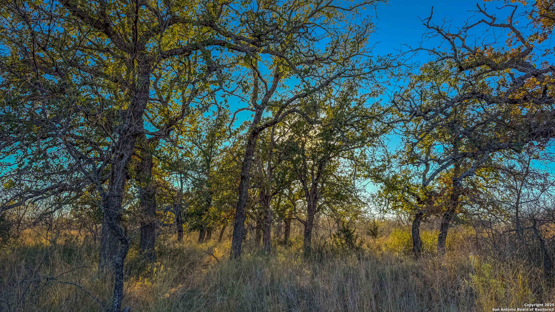 main property photo 11