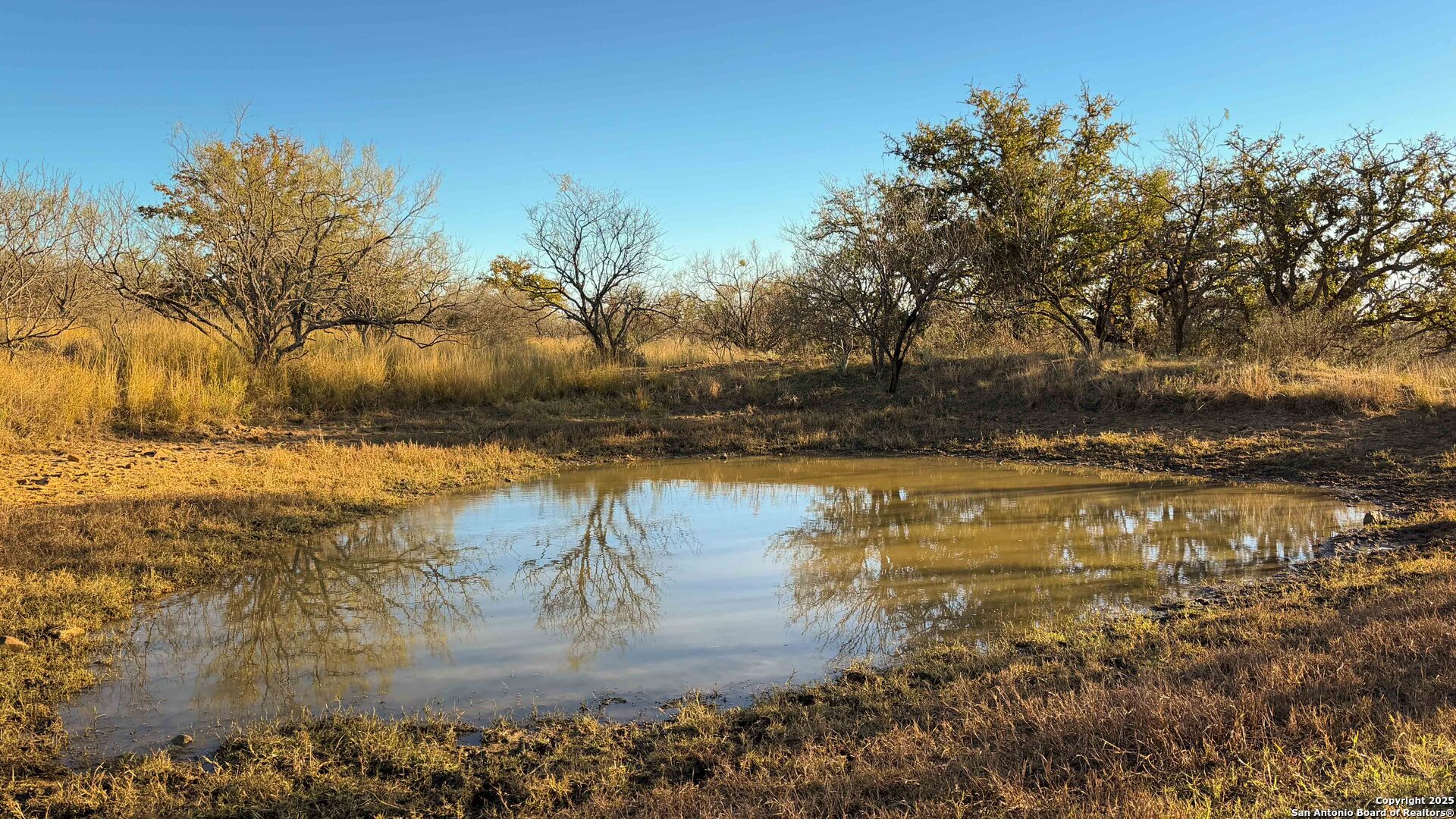 main property photo 15