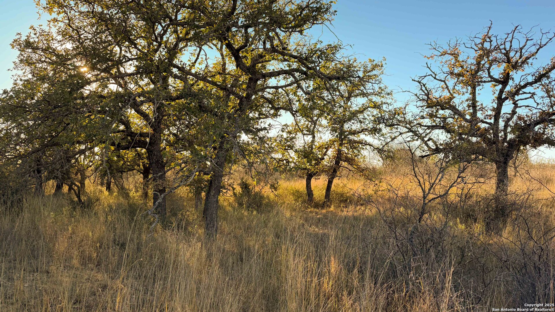 main property photo 16