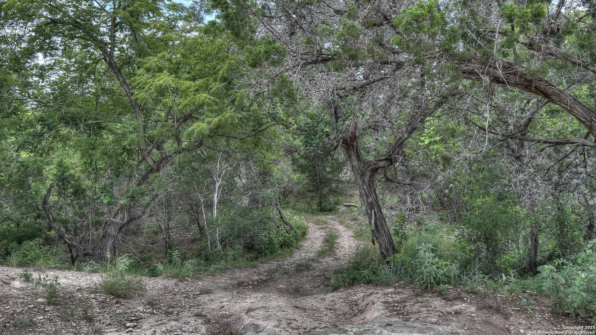 property viewer photo 29