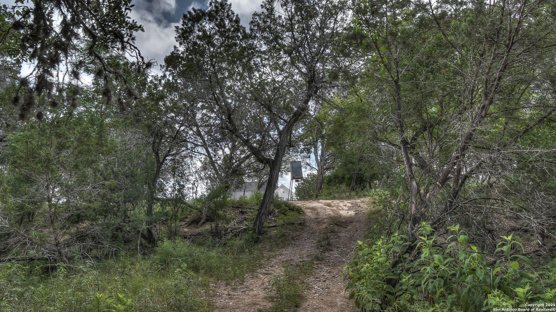 property viewer photo 30