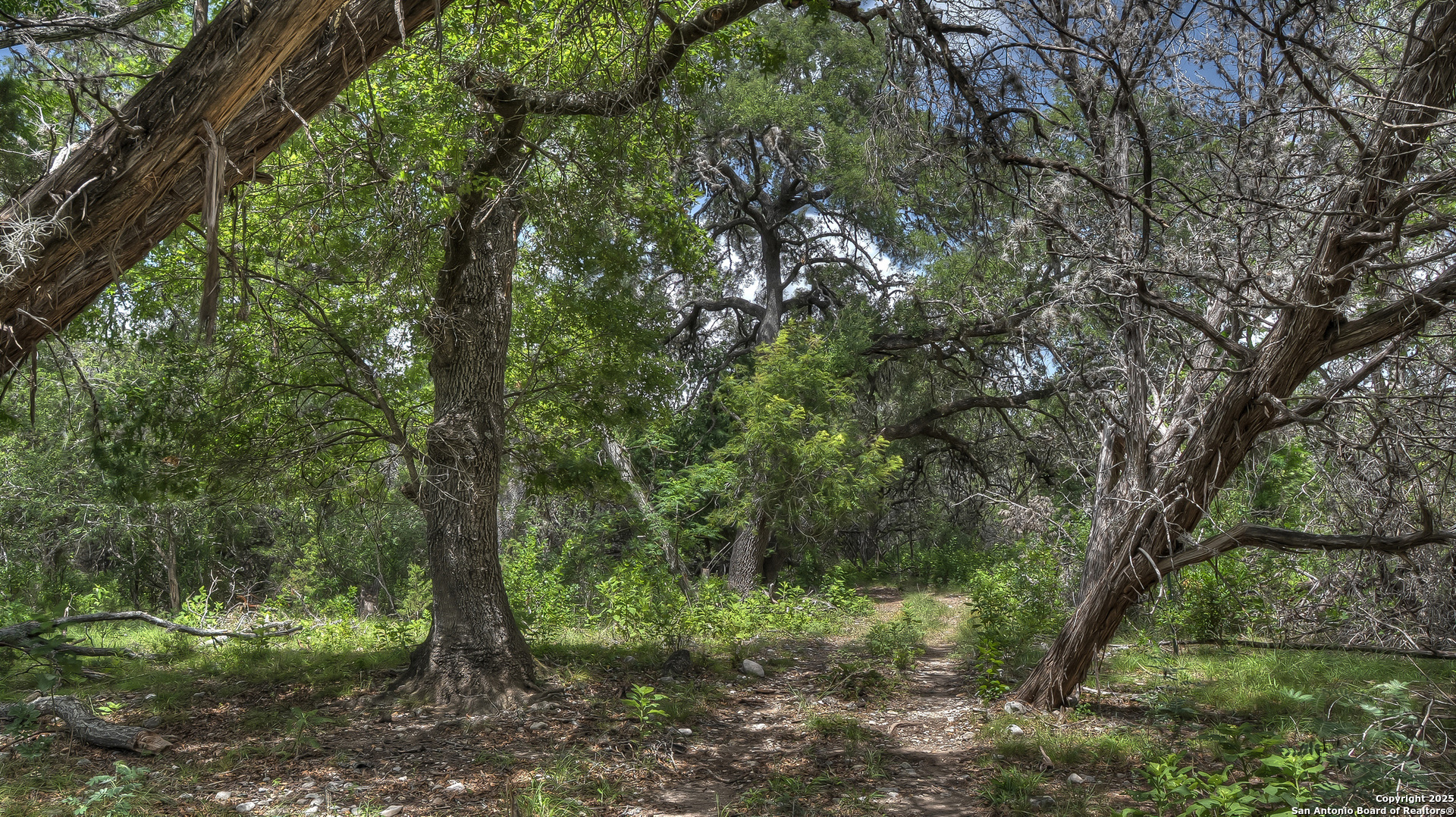 property viewer photo 31