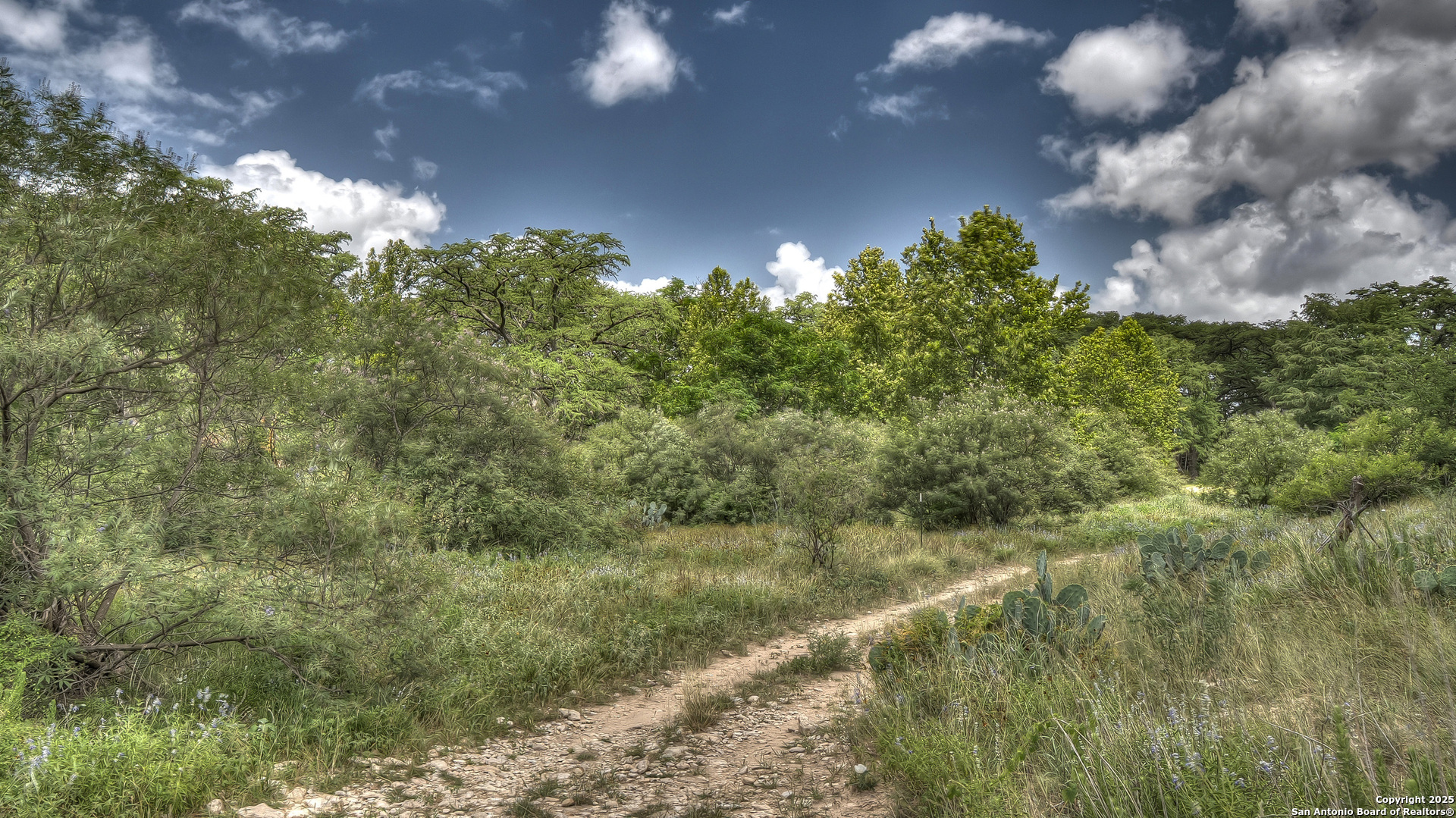 property viewer photo 32