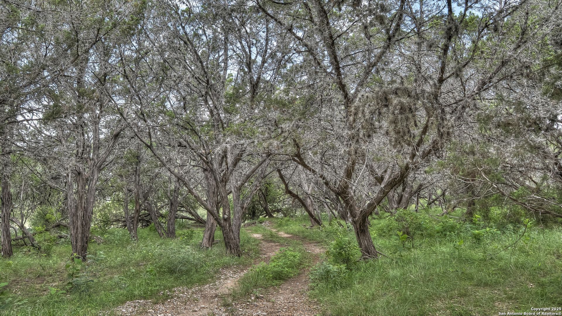 property viewer photo 35