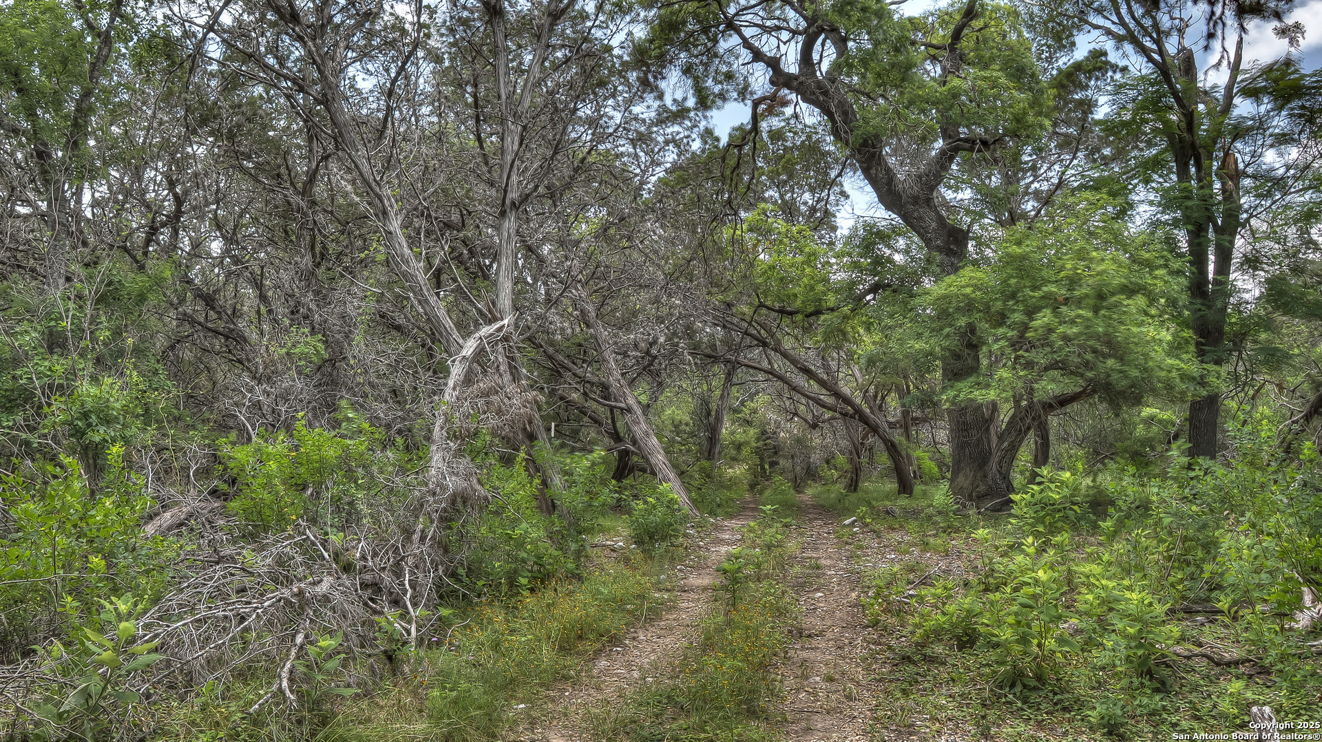 property viewer photo 36