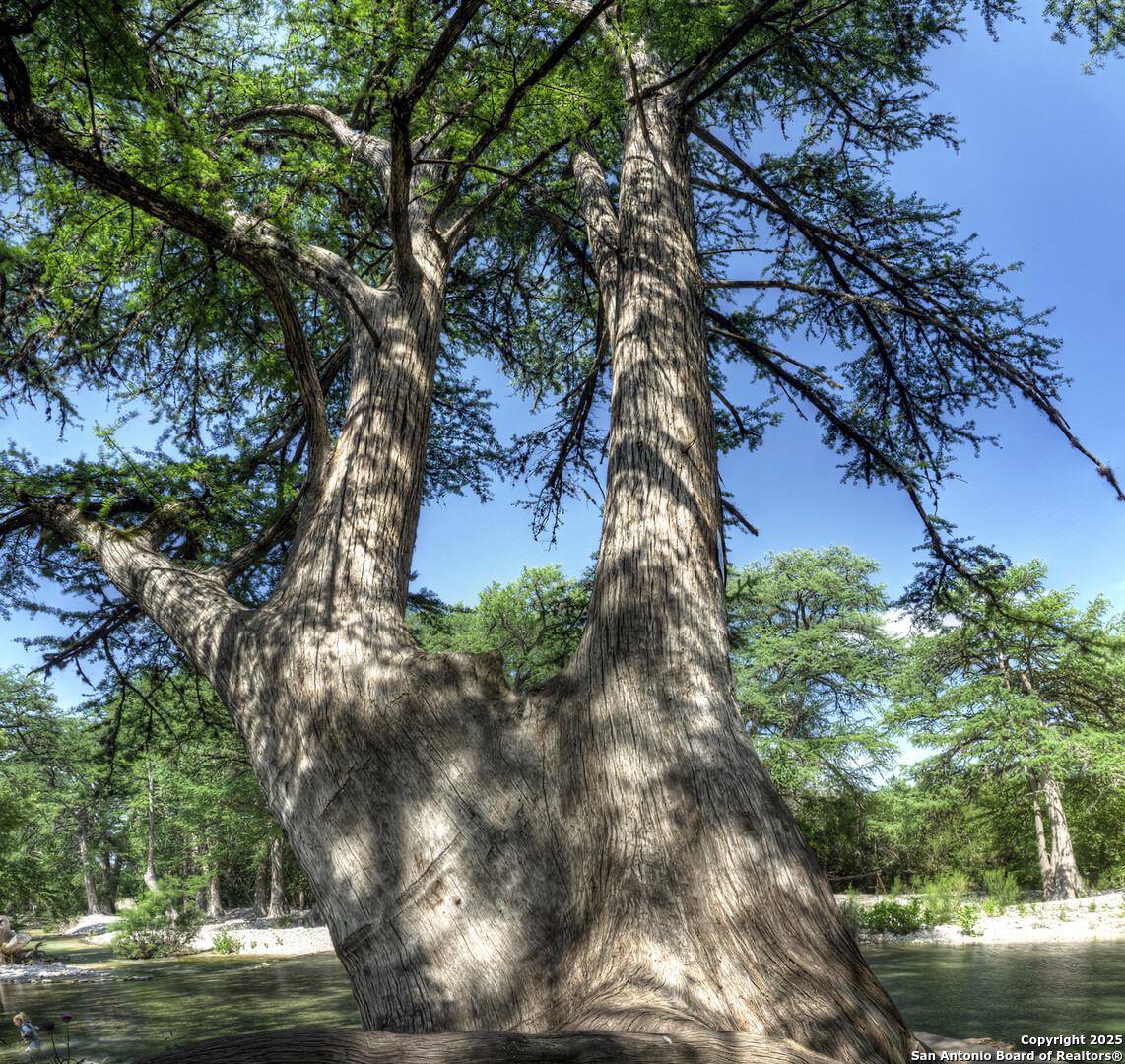 property viewer photo 48