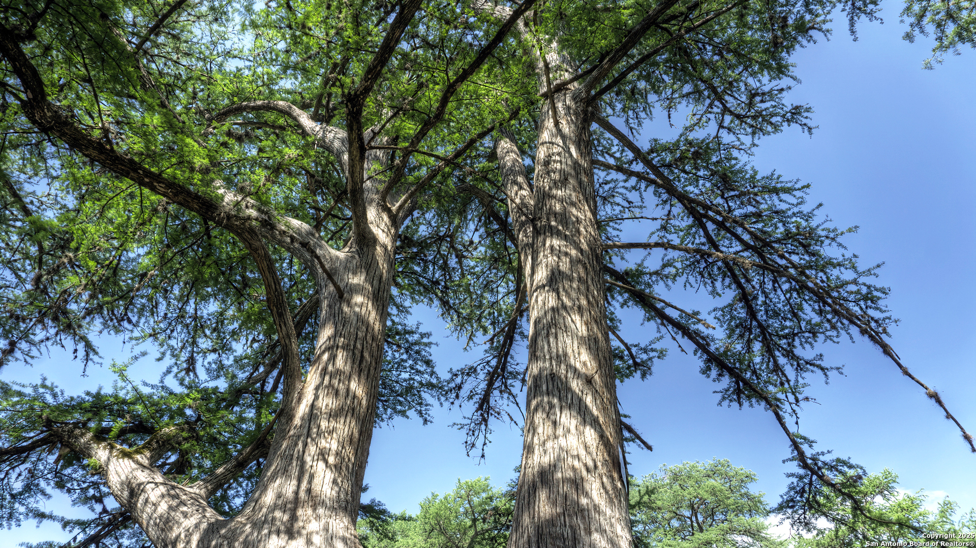 property viewer photo 49