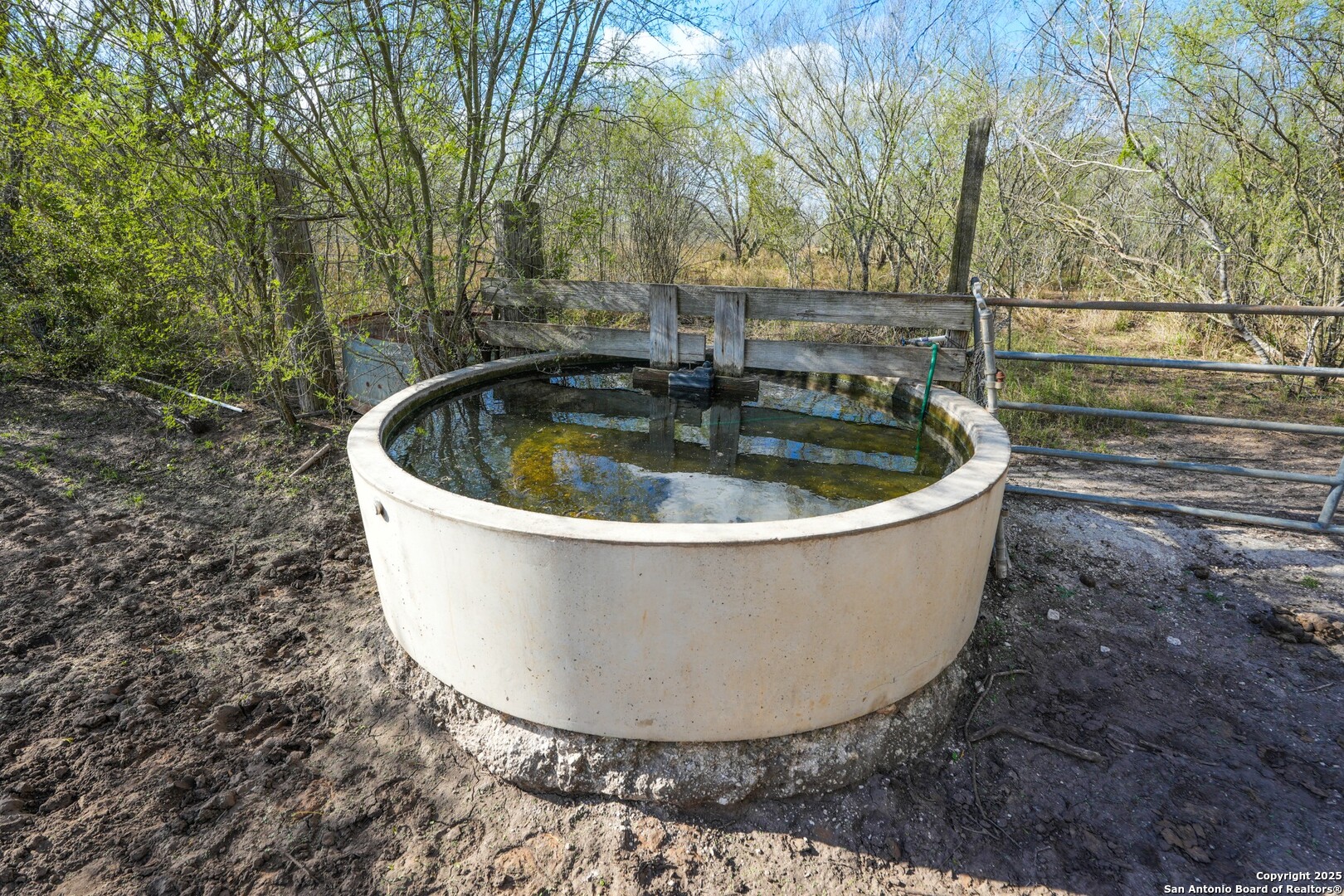 main property photo 12