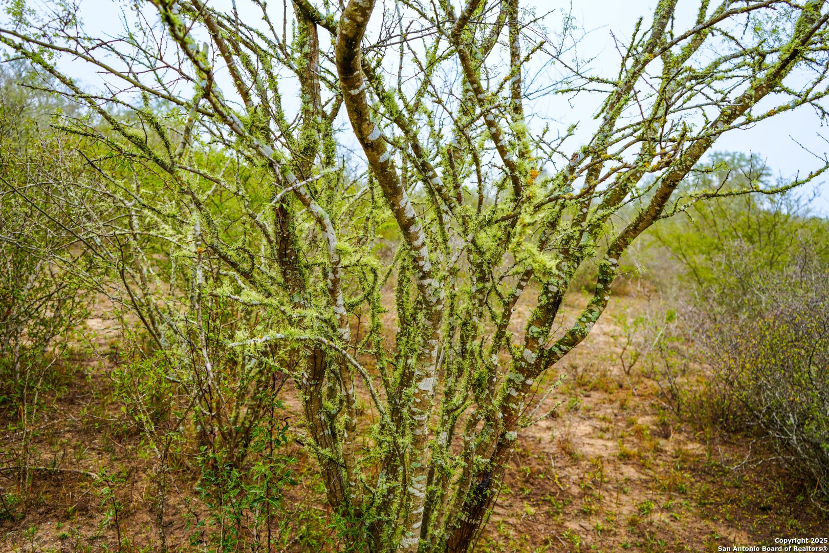 main property photo 15