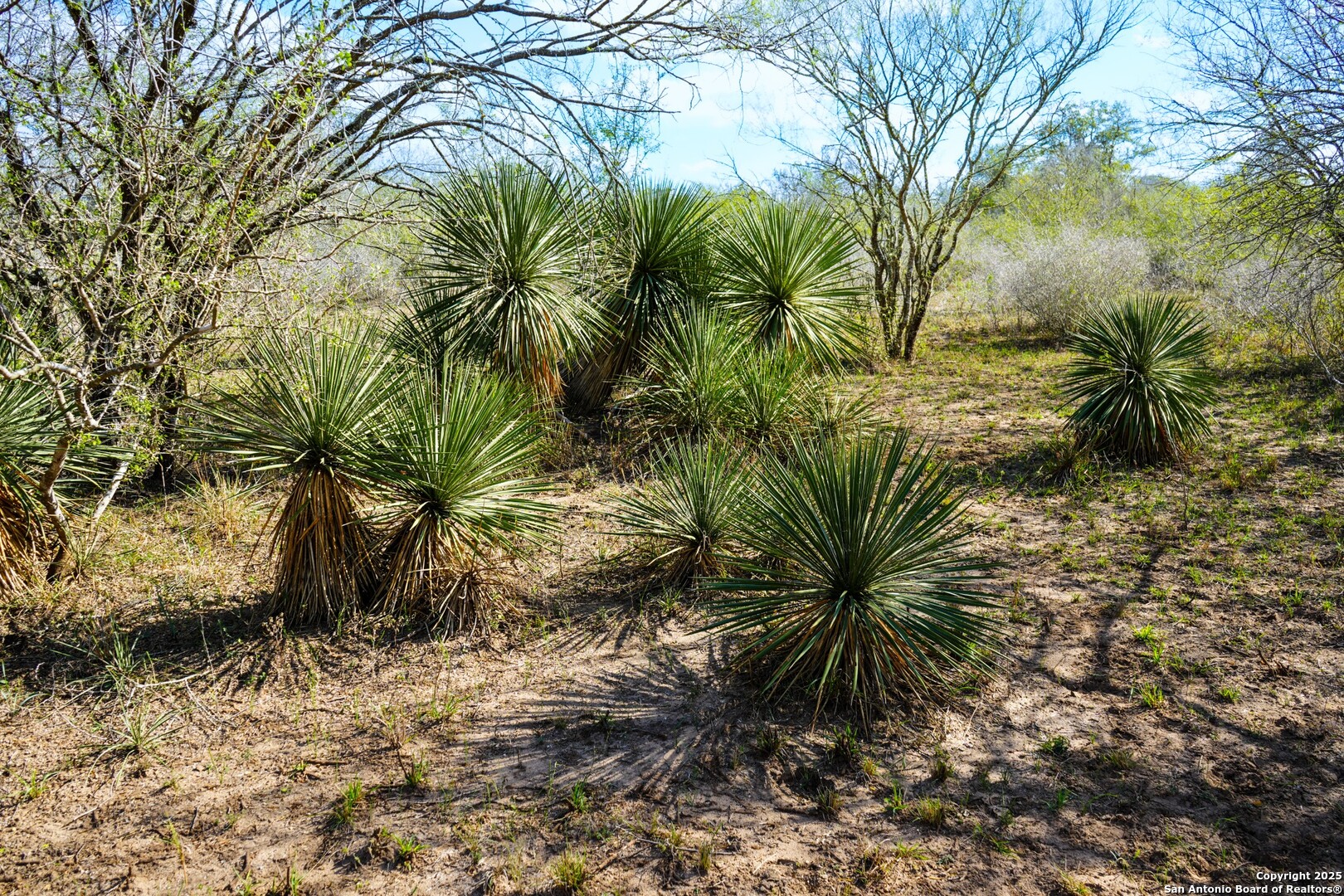main property photo 19