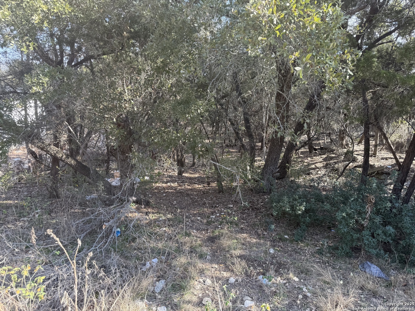 main property photo 11