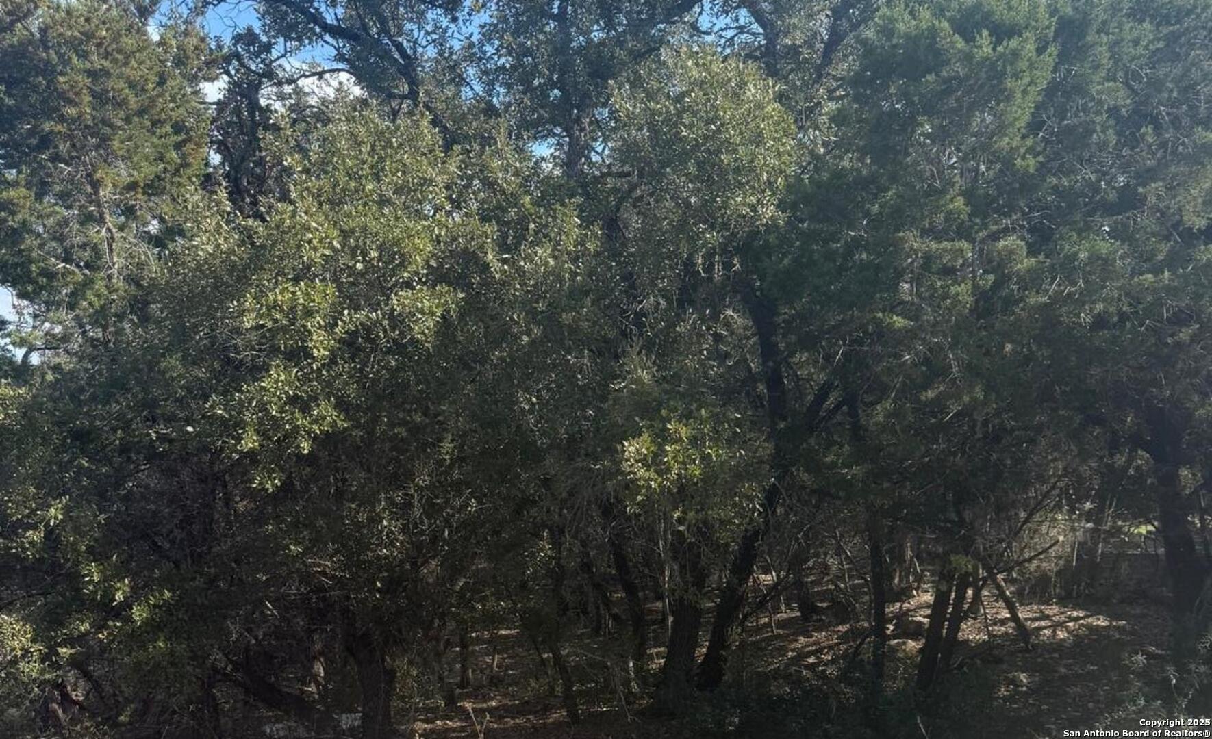 main property photo 12