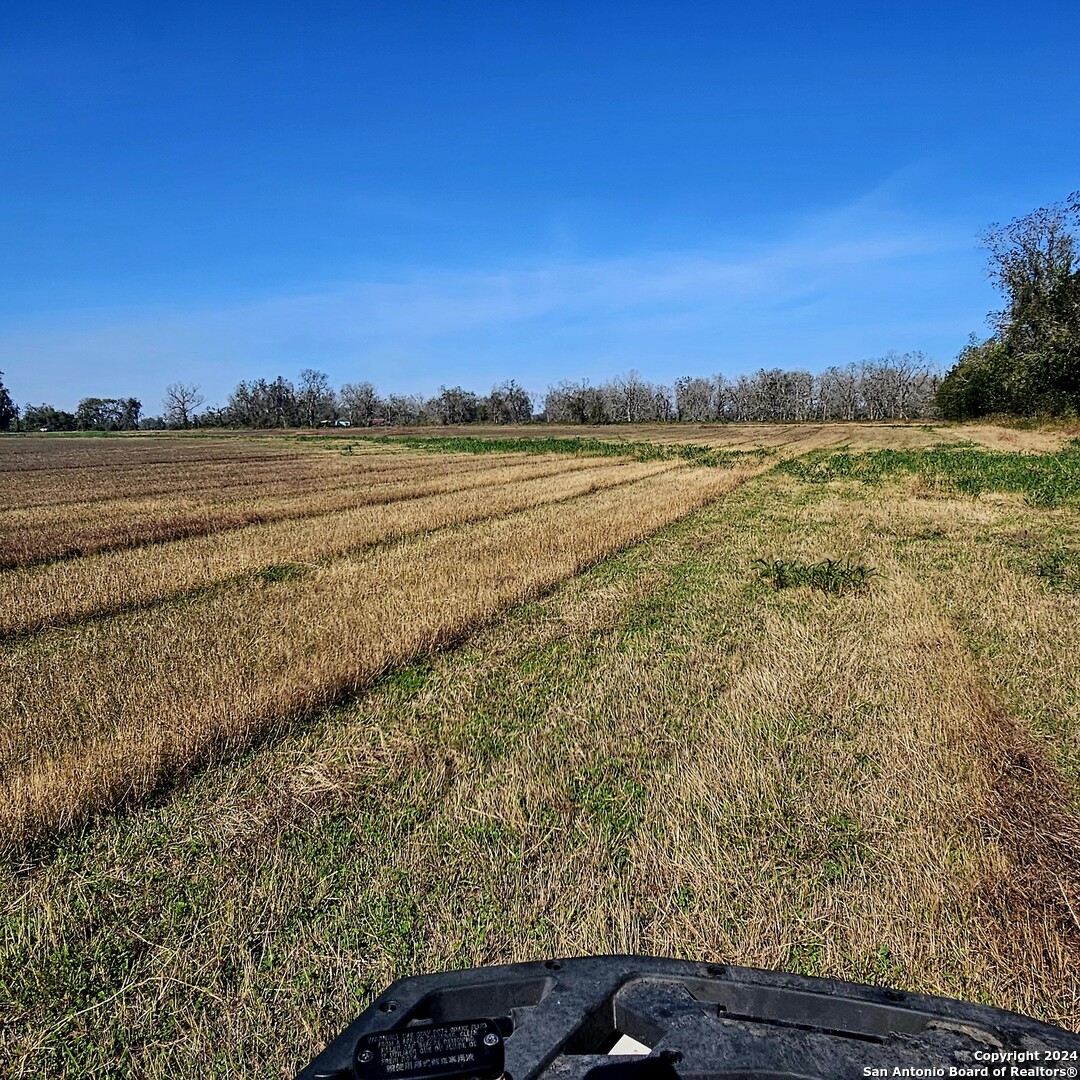 main property photo 13