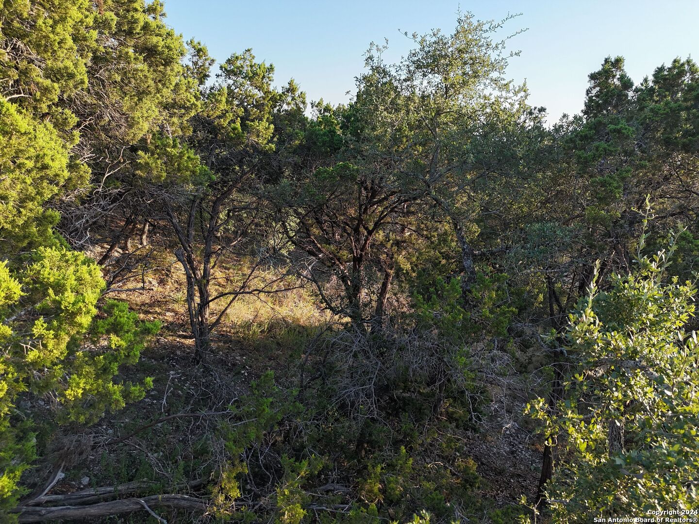 main property photo 12