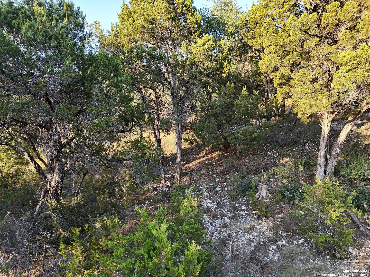 main property photo 22