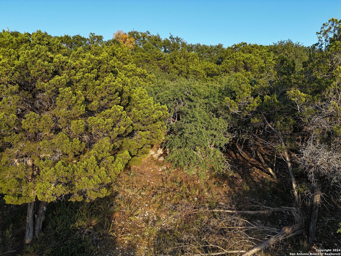 main property photo 25