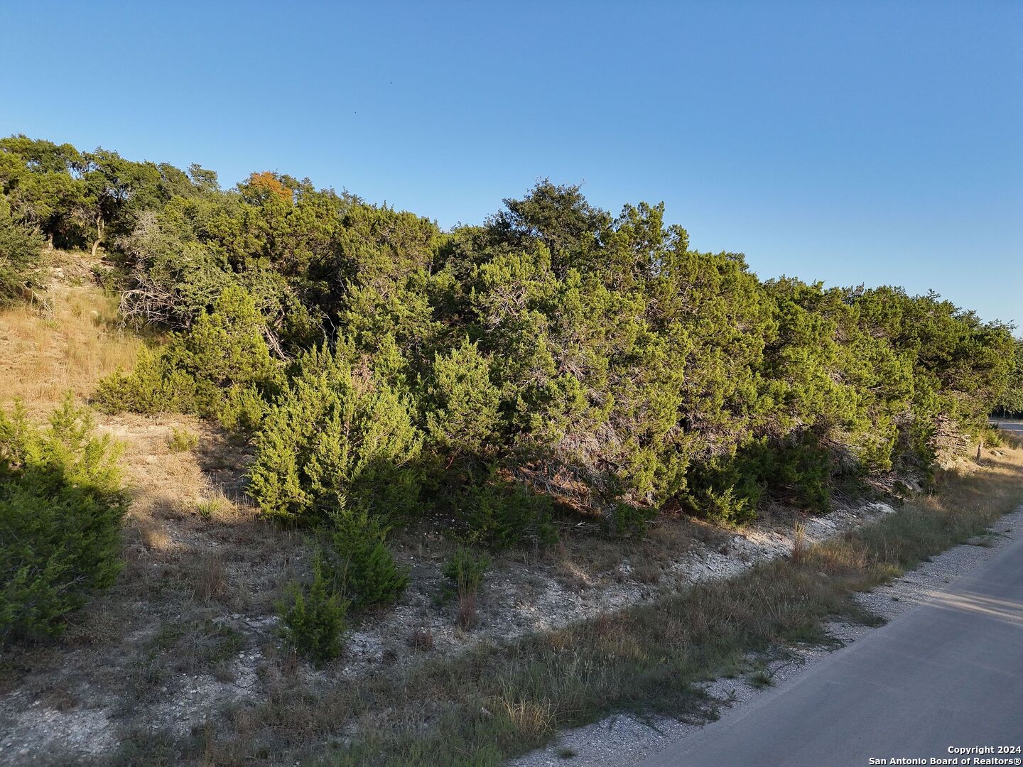 main property photo 7