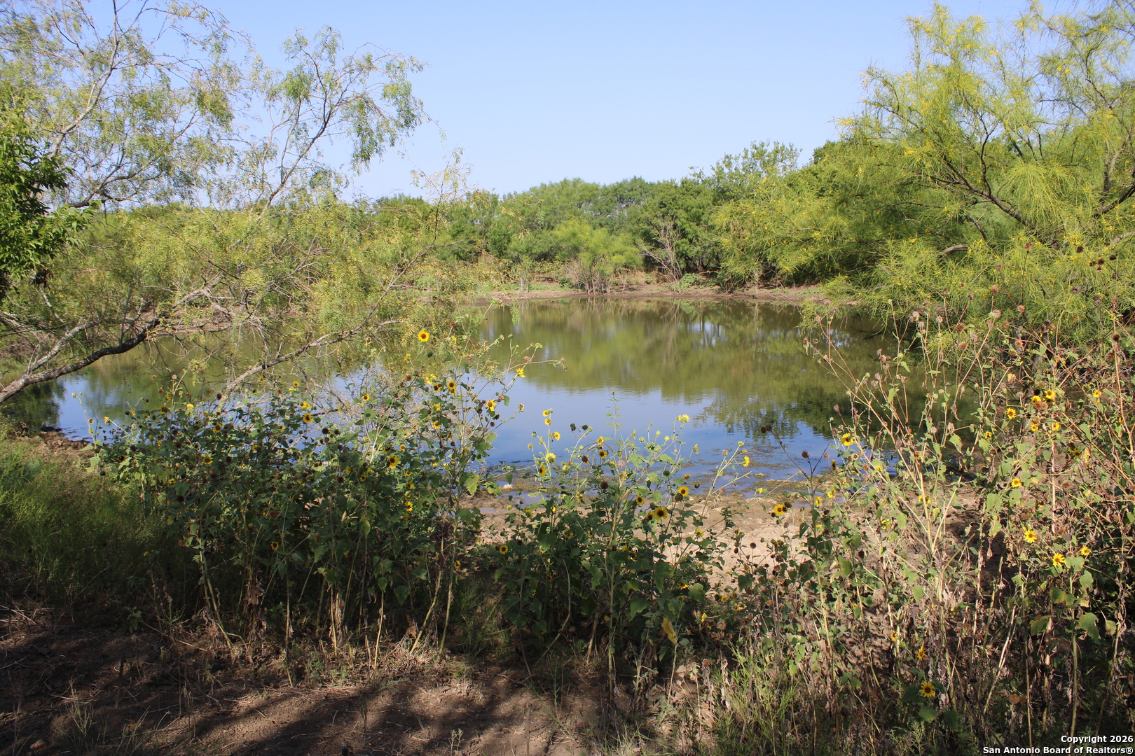 main property photo 14