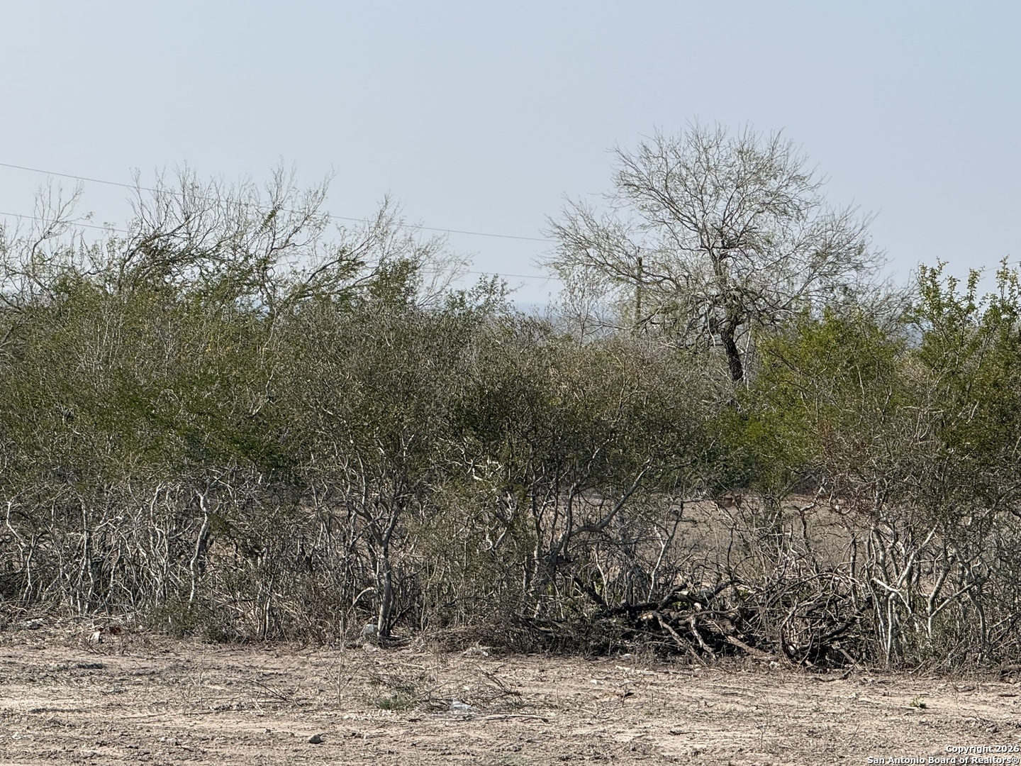 main property photo 17