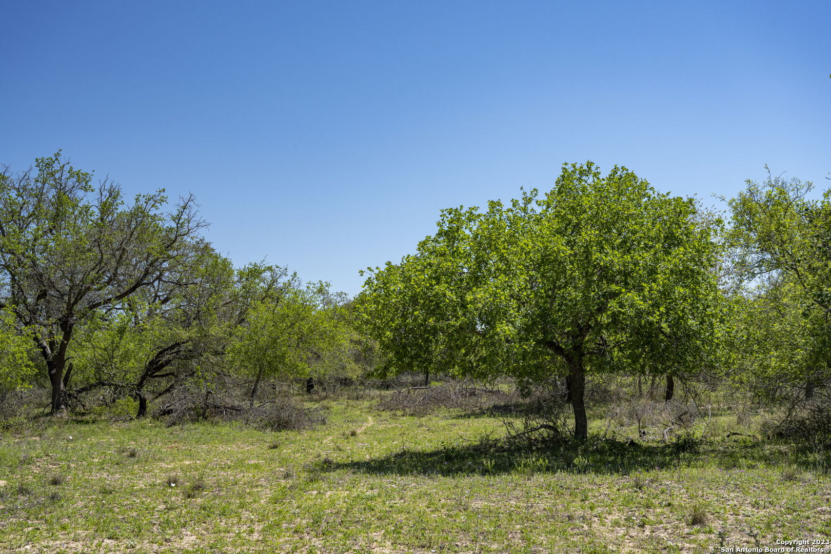 main property photo 15