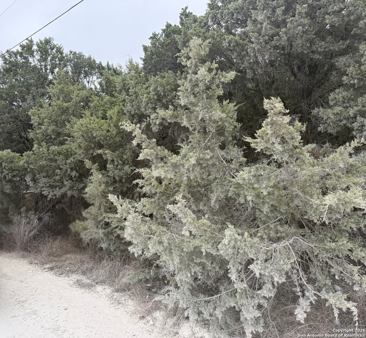 property viewer photo 1