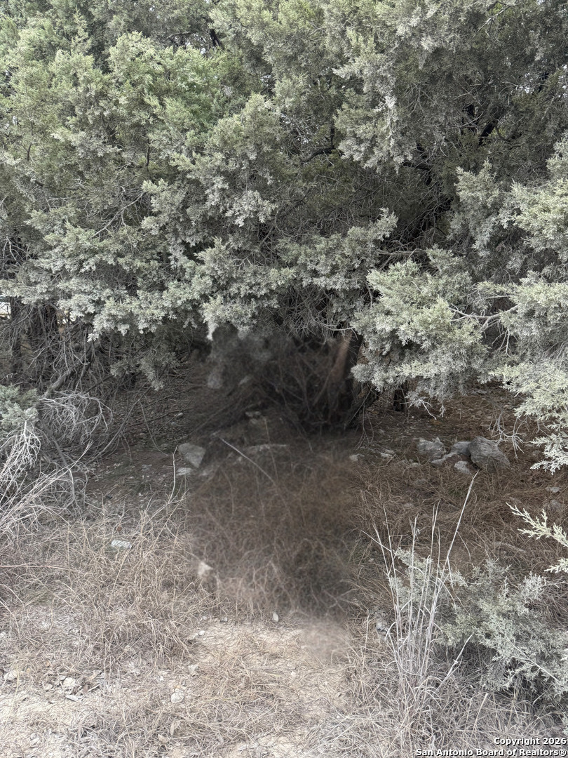 property viewer photo 3