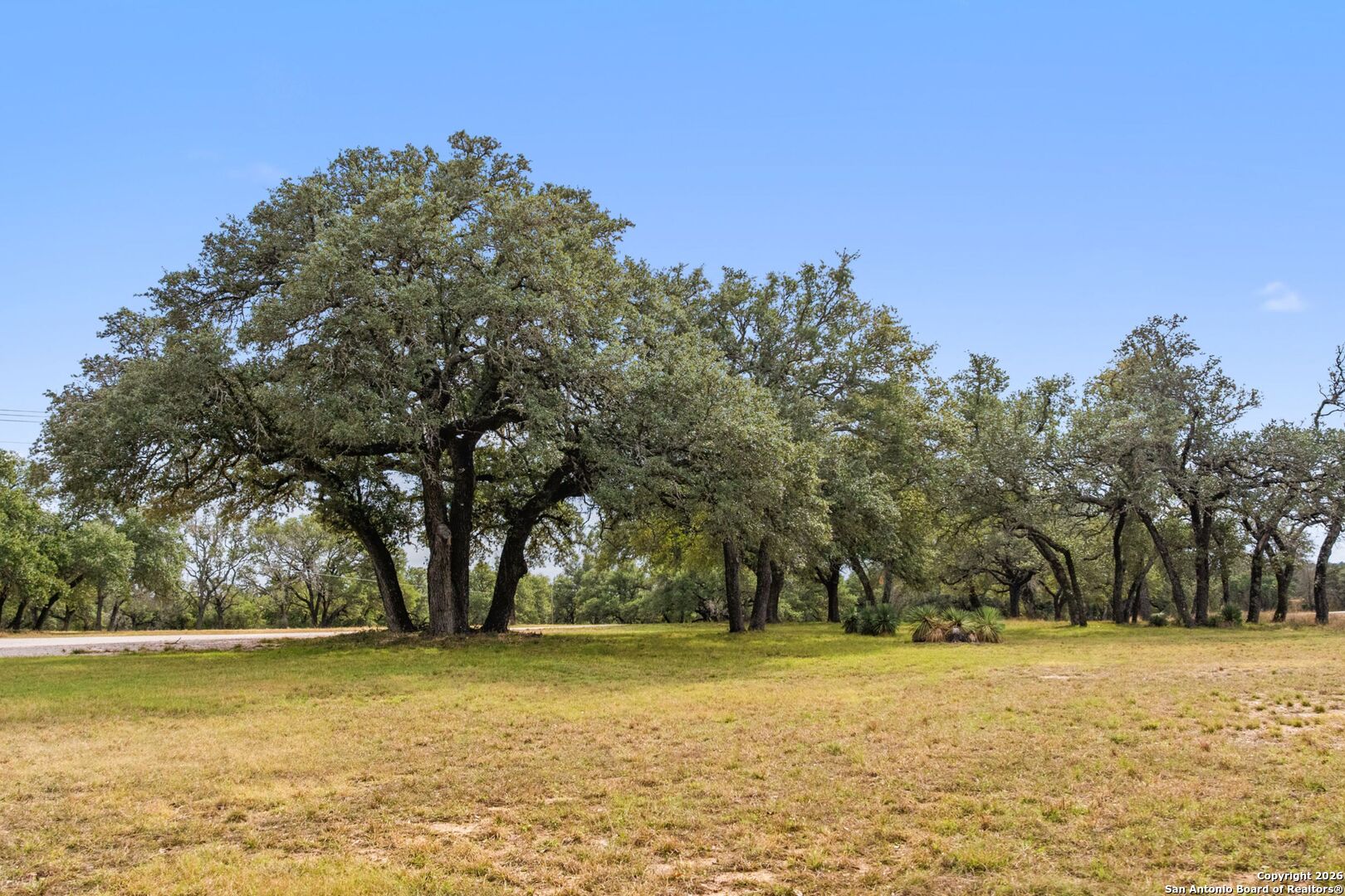 main property photo 23