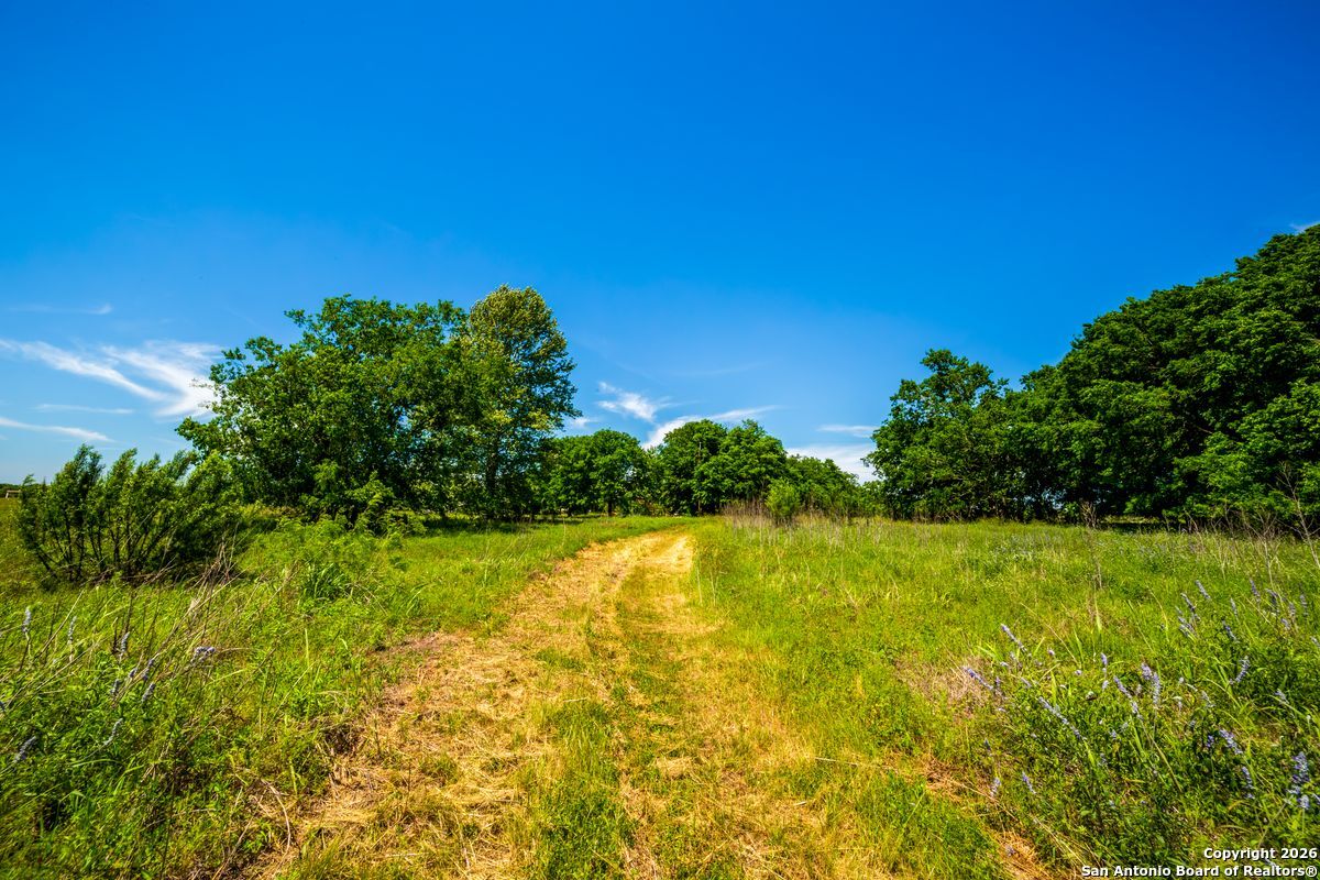 main property photo 11