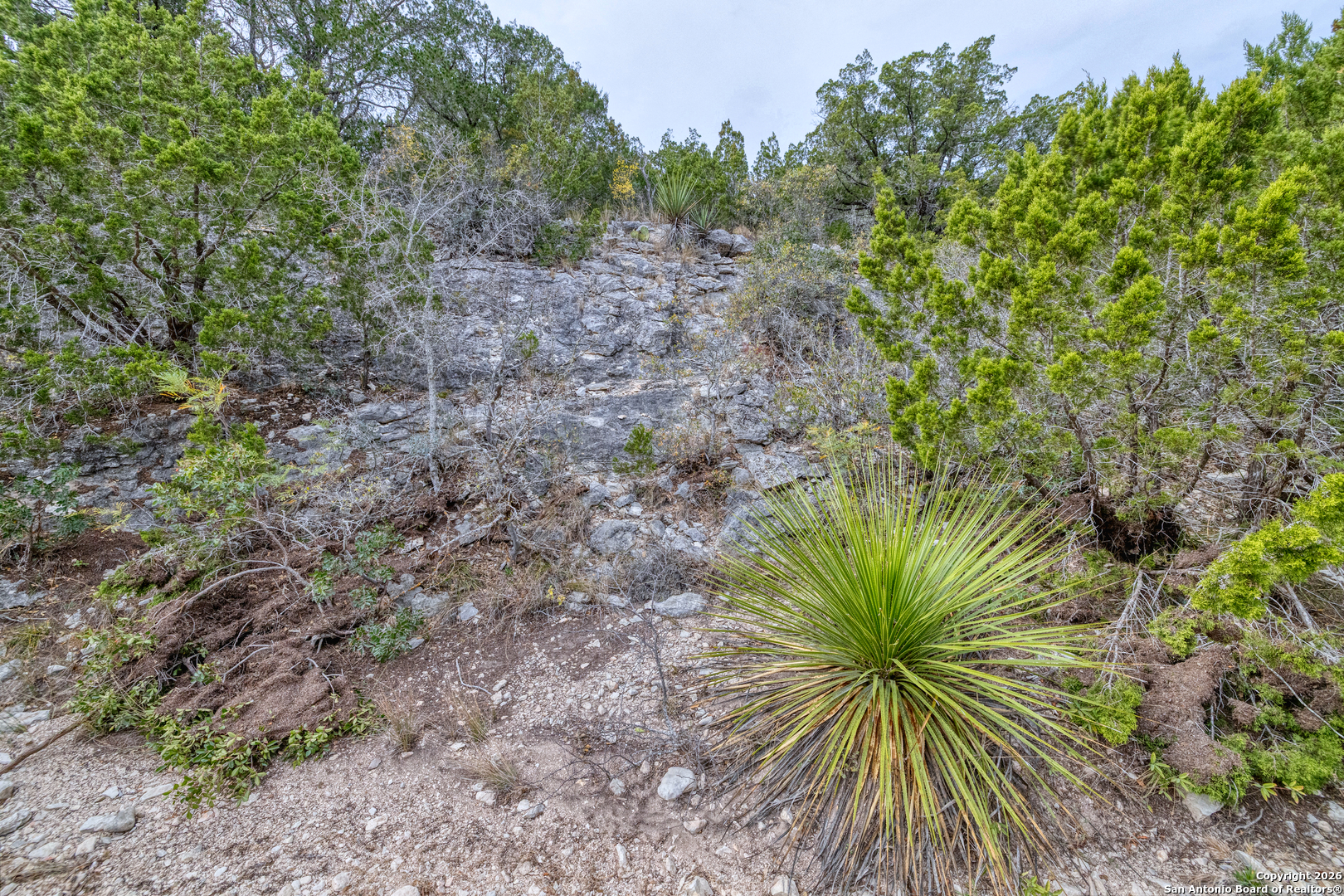 main property photo 18