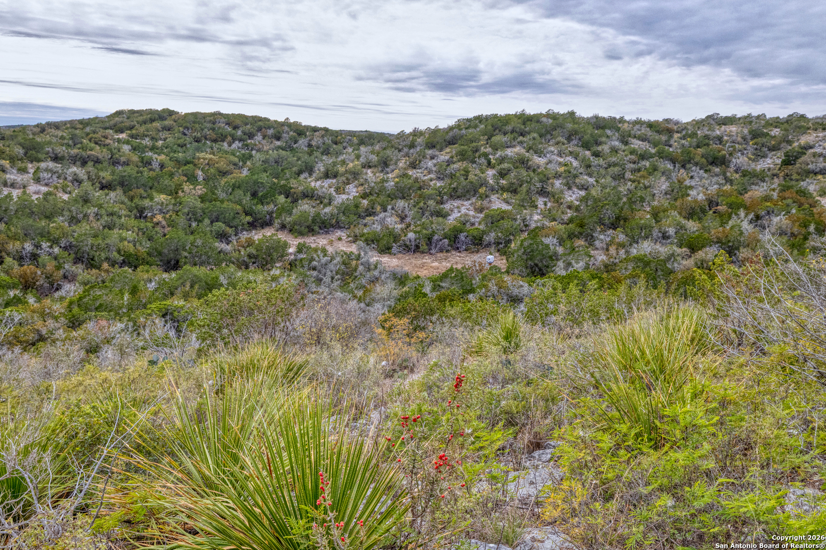 main property photo 48
