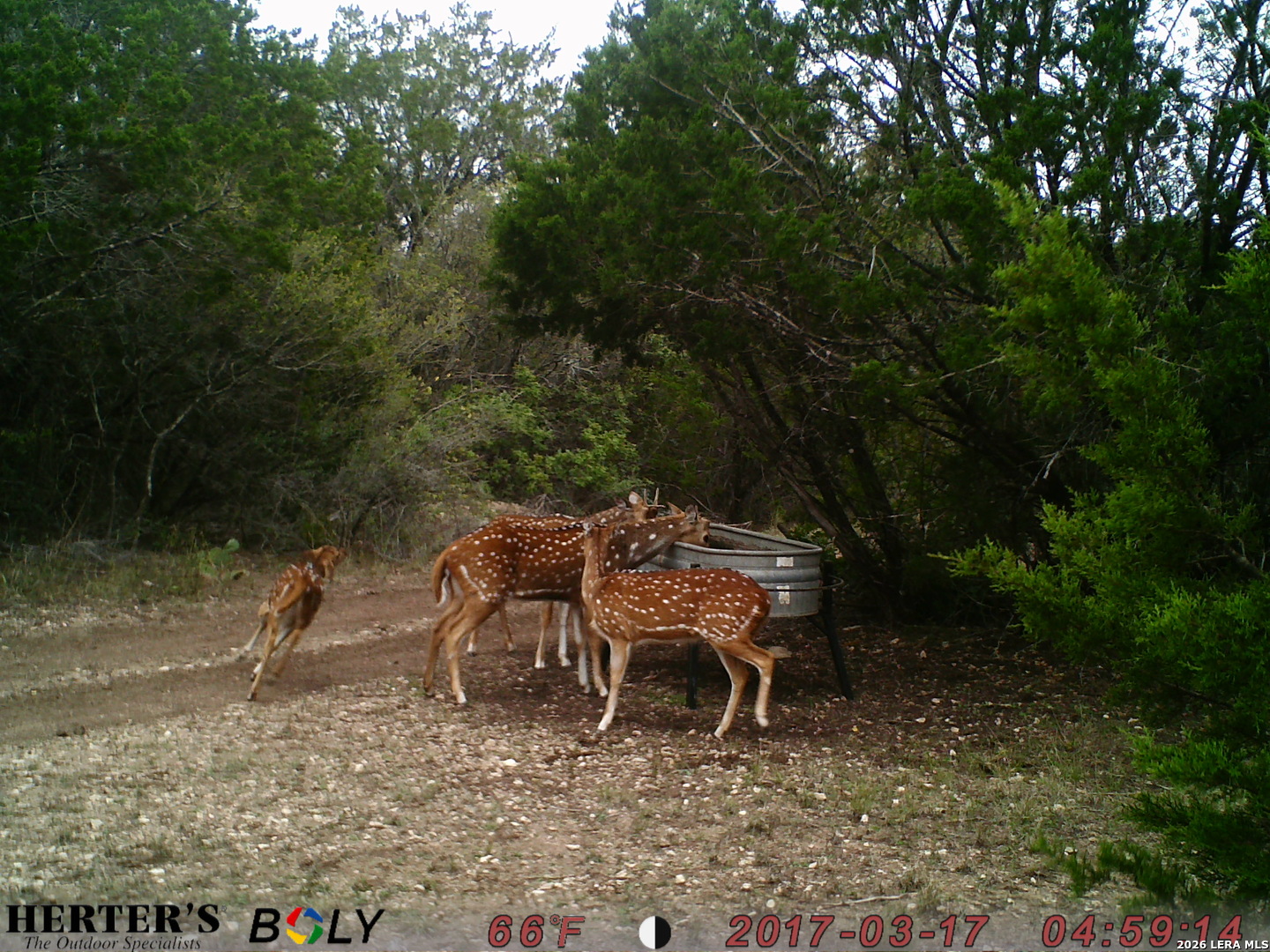 main property photo 61