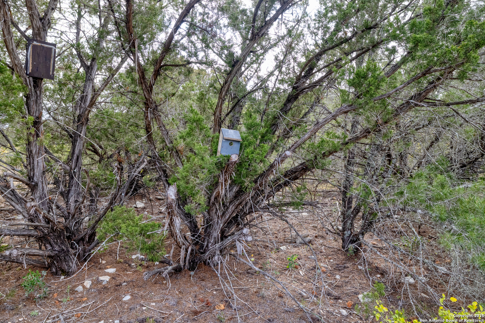 main property photo 9