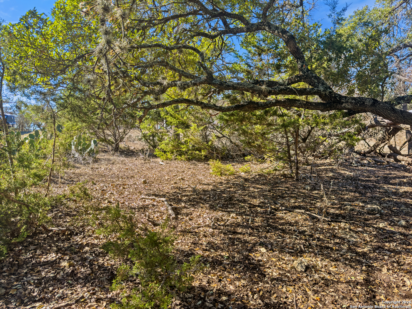 main property photo 14
