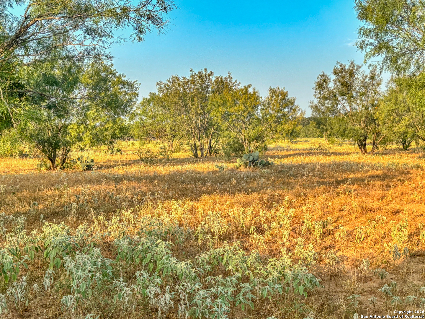 main property photo 15