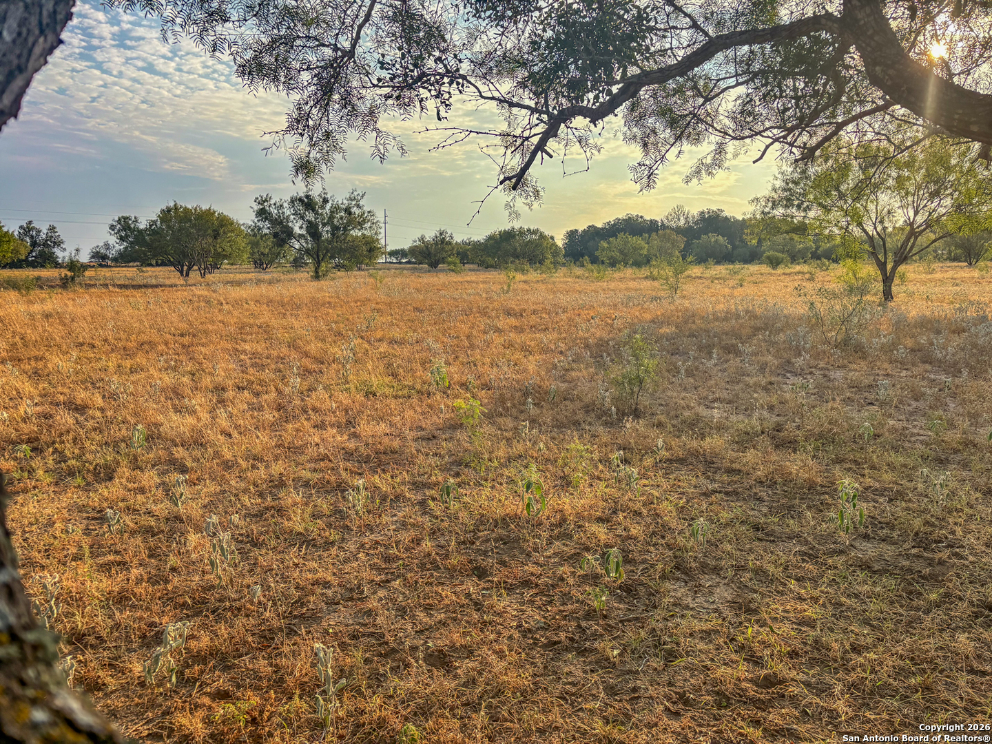 main property photo 18