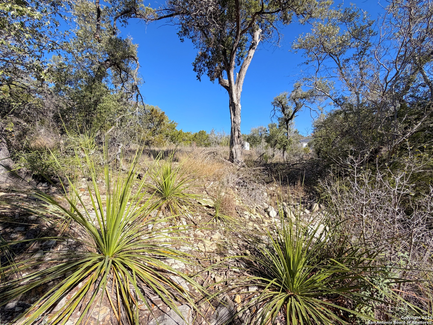 main property photo 20