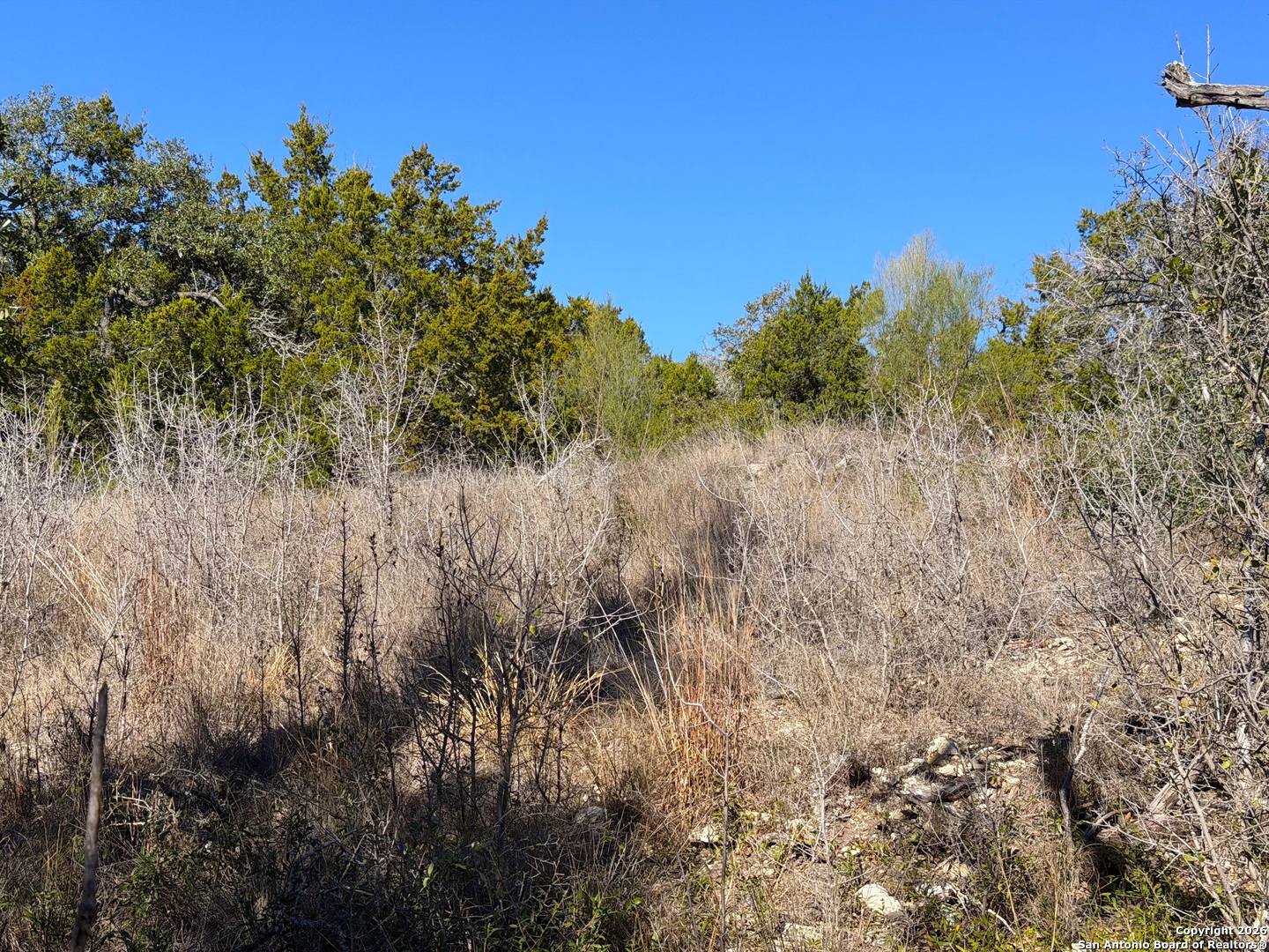 main property photo 21