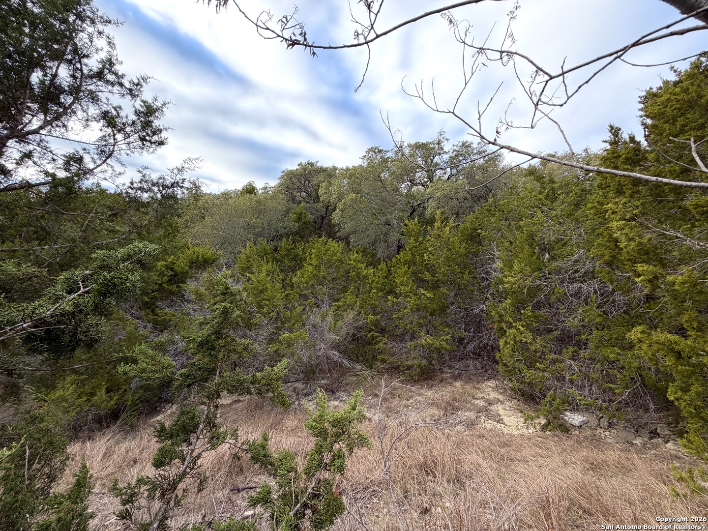 main property photo 8