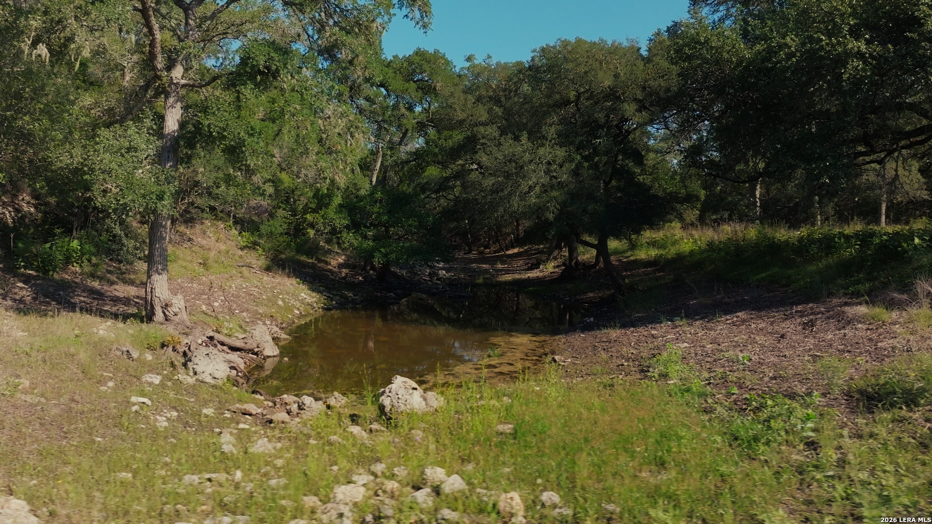 main property photo 46