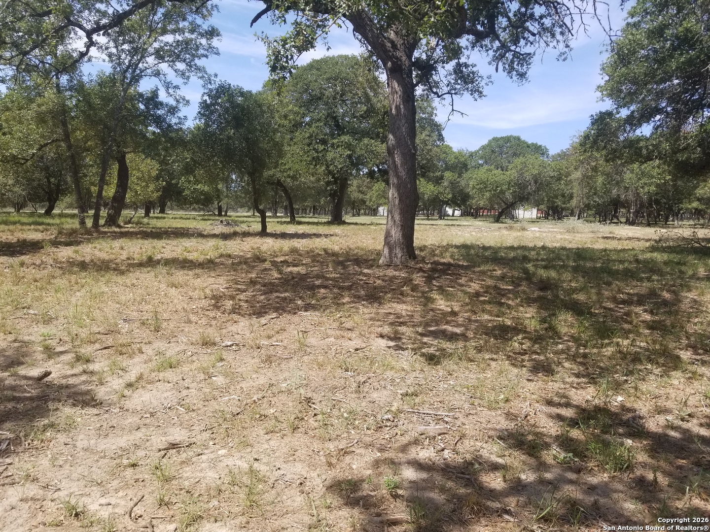 main property photo 9