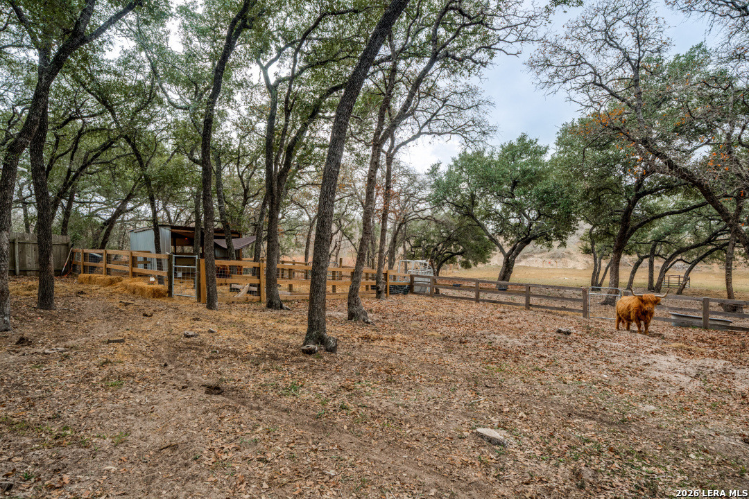 main property photo 42