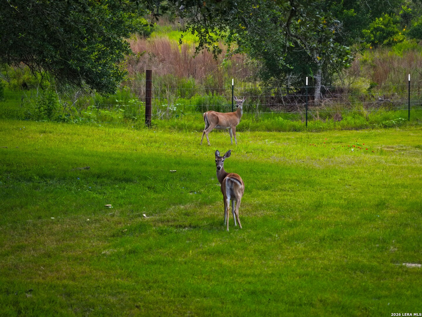main property photo 46