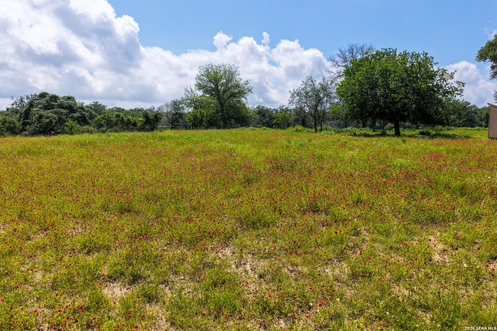 main property photo 50