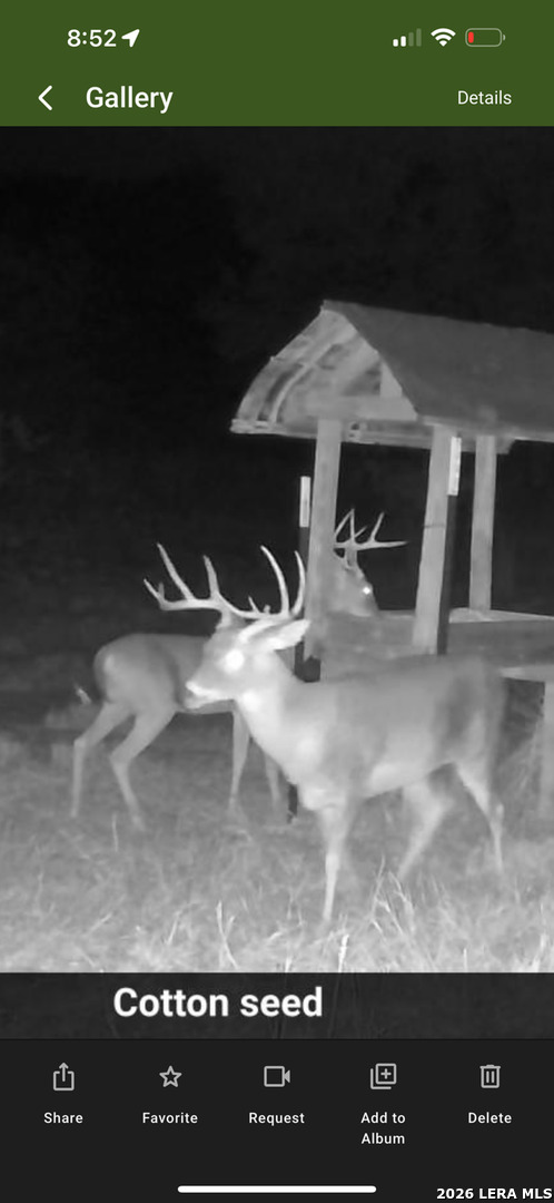 main property photo 55