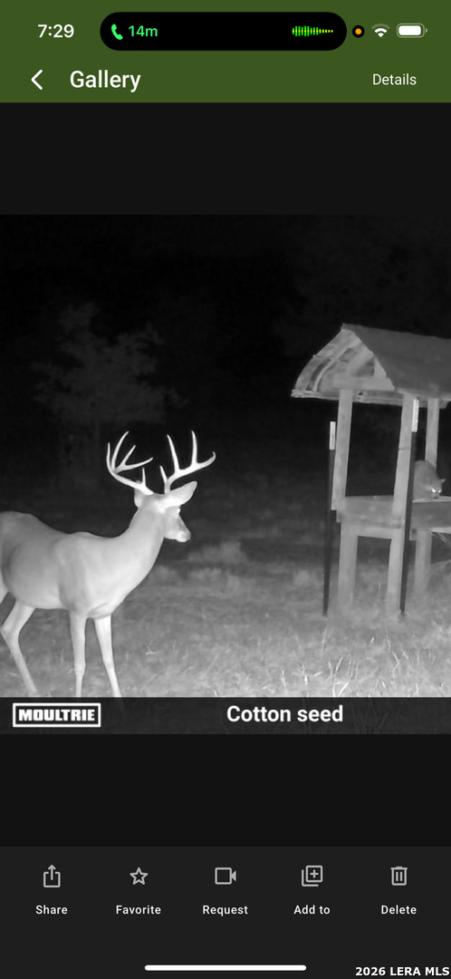 main property photo 56