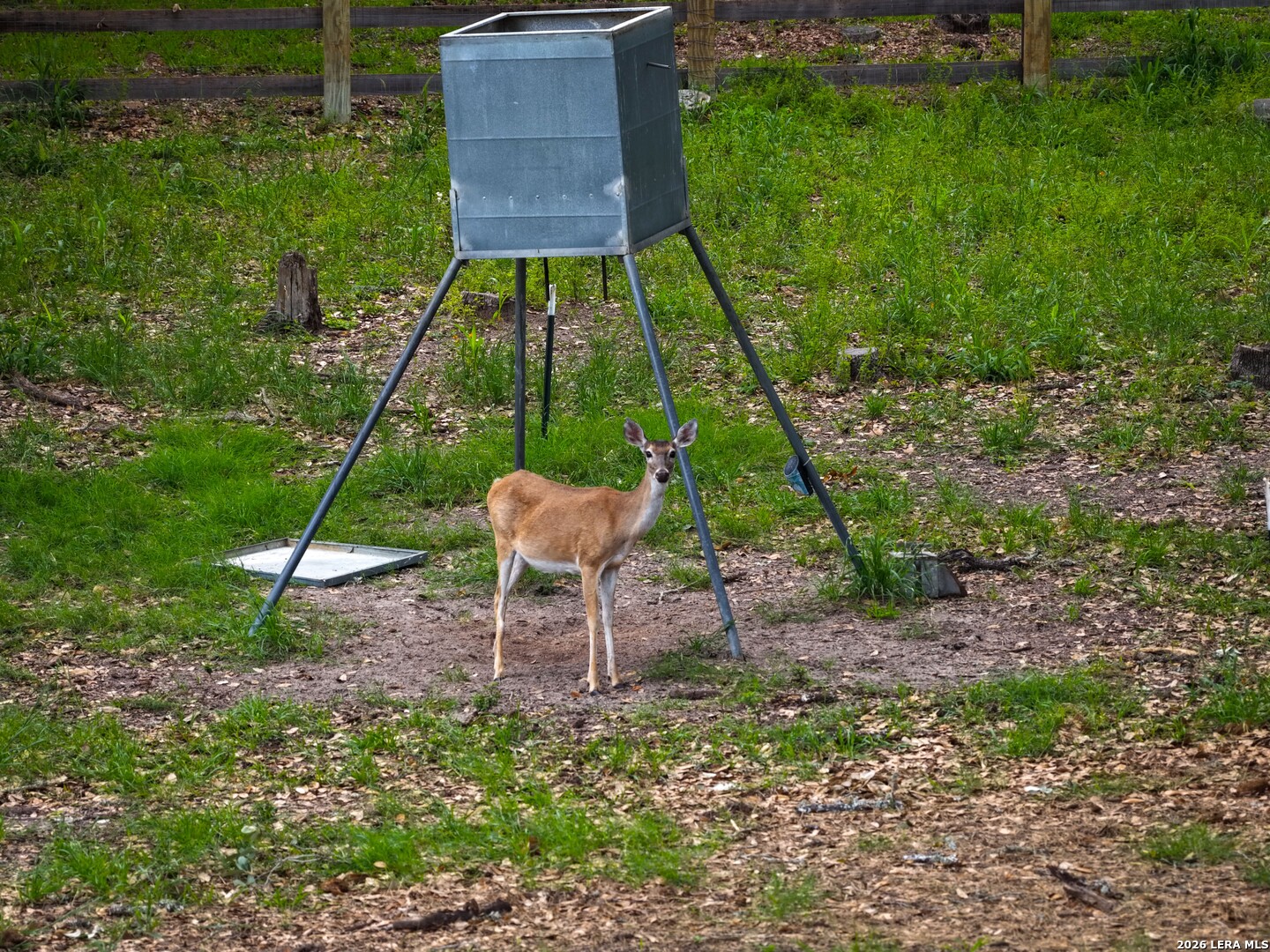 main property photo 58