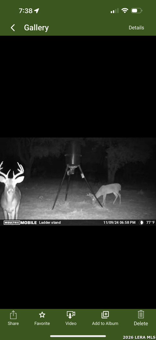 main property photo 59
