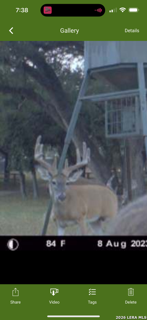 main property photo 61